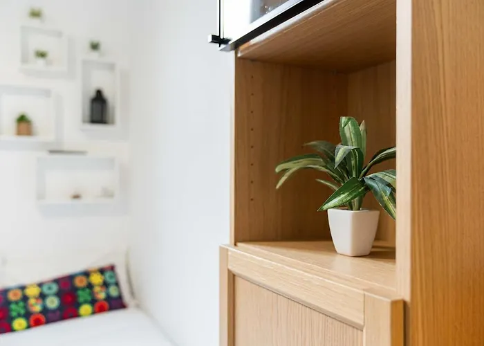 Comfortable Vatican, Pope View Window With St Peter View *