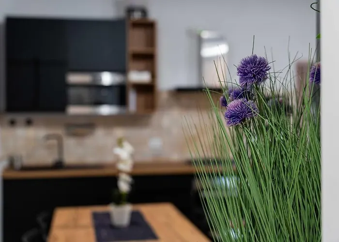 Comfortable Vatican, Pope View Window With St Peter View דירה